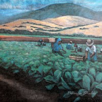 Broccoli Harvest, 1986