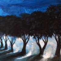 Trees at Night, Salinas, California, 1987